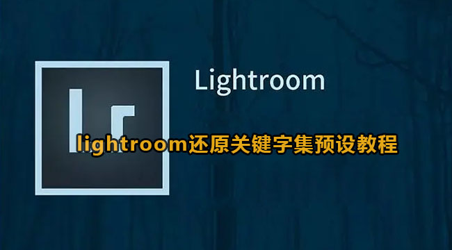 lightroom还原关键字集预设教程