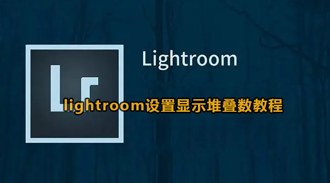 lightroom设置显示堆叠数教程