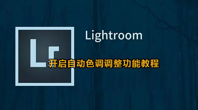 lightroom开启自动色调调整功能教程