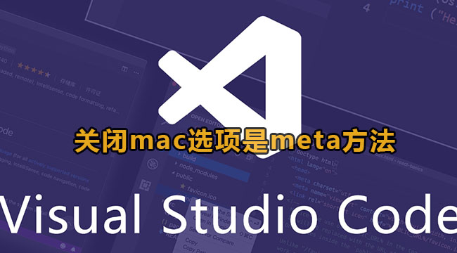 vscode关闭mac选项是meta方法