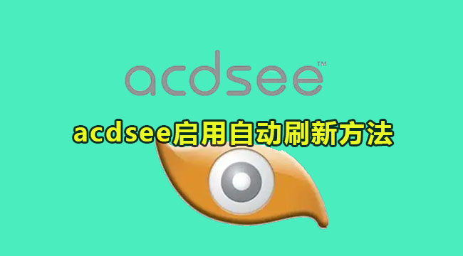 acdsee设置启用自动刷新方法