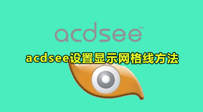 acdsee设置显示网格线的方法