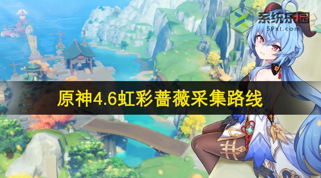 原神4.6虹彩蔷薇采集路线