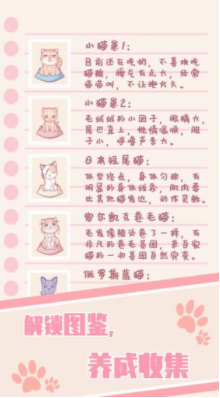 猫咪养成：云撸猫截图