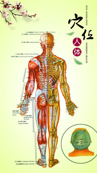 中医按摩宝典截图