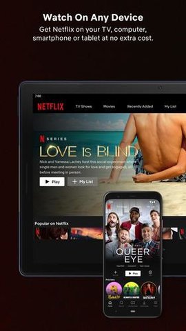 网飞netflix截图