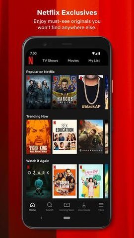 网飞netflix截图