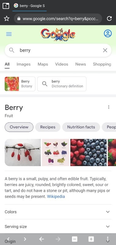 berry浏览器截图