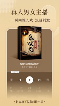 番茄免费小说截图