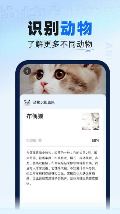 迅捷扫描大师截图