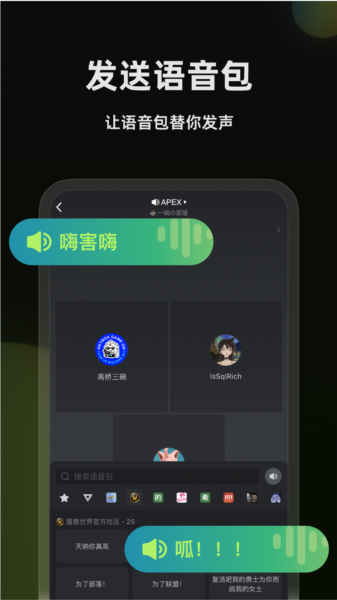 黑盒语音截图